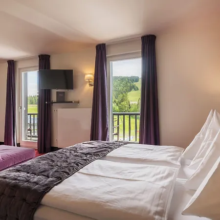 Wetterstein מלון 4*